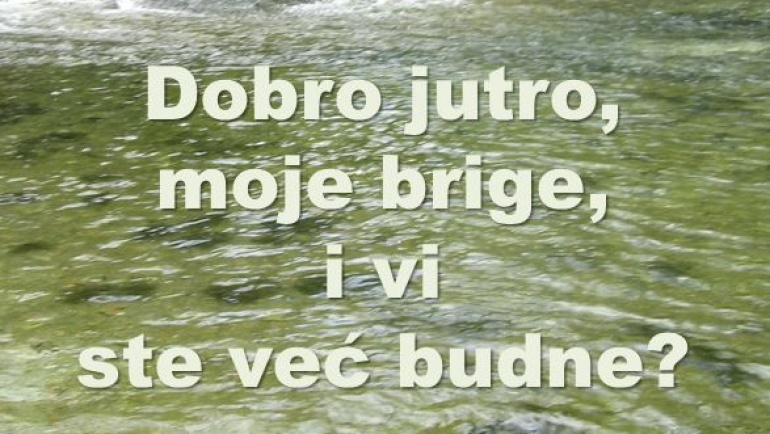 Baš me briga